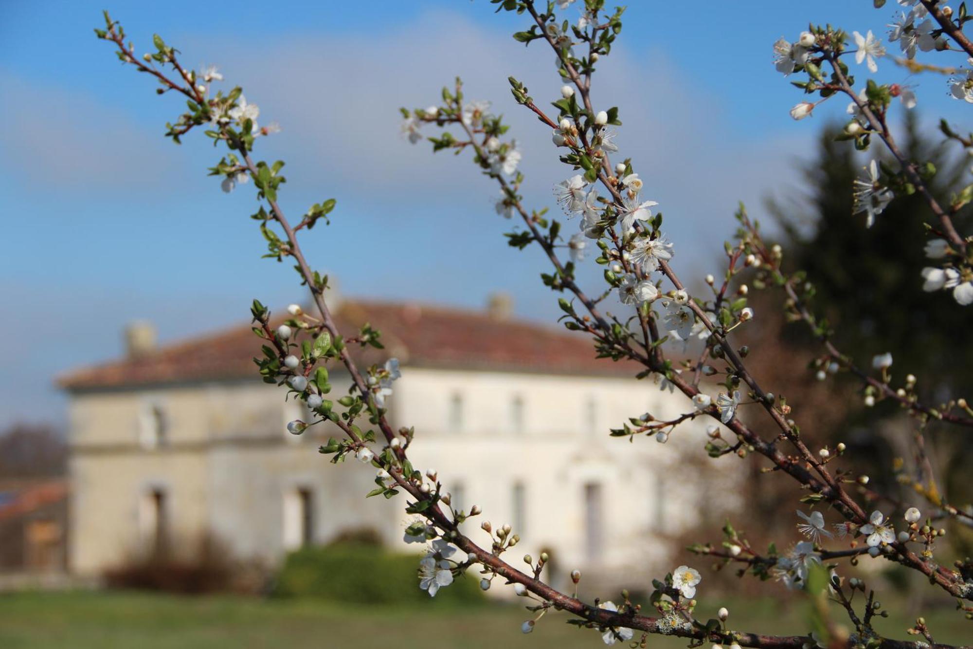 Domaine Terroceane Hotell La-Gripperie-Saint-Symphorien Exteriör bild