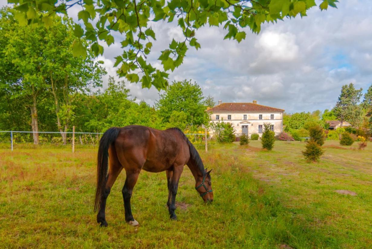 Domaine Terroceane Hotell La-Gripperie-Saint-Symphorien Exteriör bild